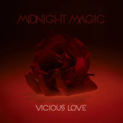 Midnight Magic Vicious Love