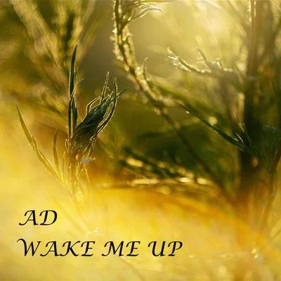 AD Wake Me Up