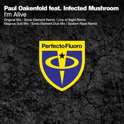 Paul Oakenfold I'm Alive