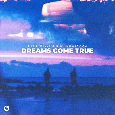 Mike Williams/Martin Tungevaag Dreams Come True