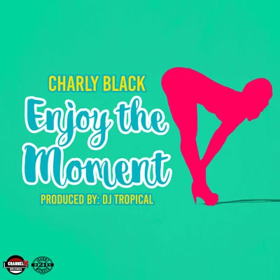 Charly Black Enjoy the Moment