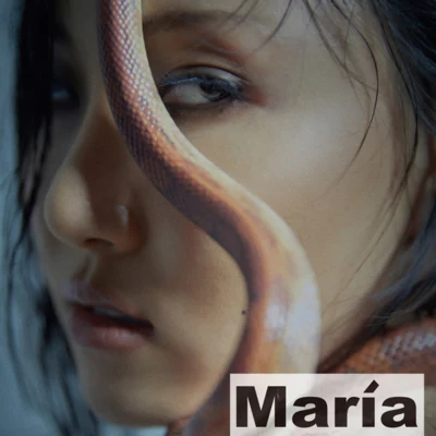 華莎 María