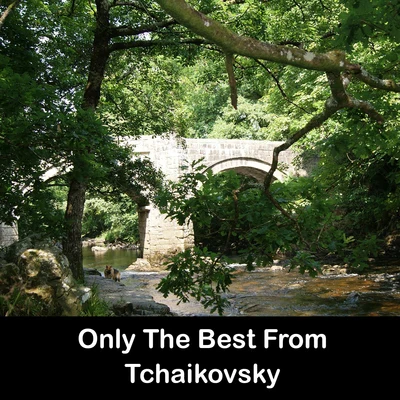 Tchaikovsky Only The Best From Tchaikovsky