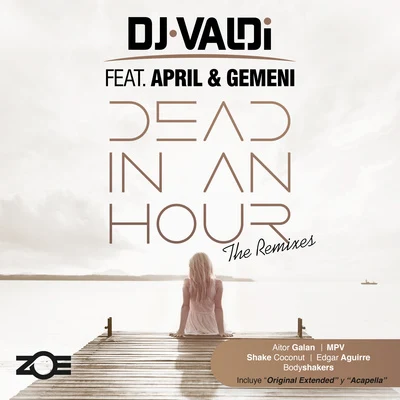 DJ Valdi Dead in an Hour (Remixes)