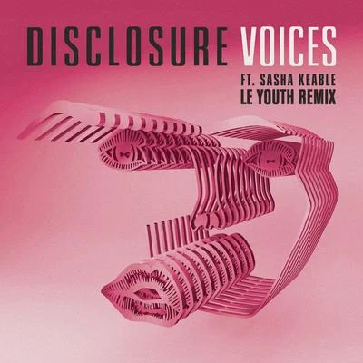 Disclosure Voices (Le Youth Remix)