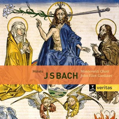 John Eliot Gardiner Bach: Motets BWV 225-231, Cantatas BWV 50 & 118