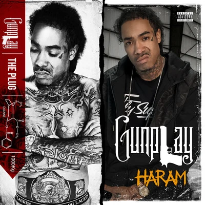 Gunplay On a Daily (Remix)