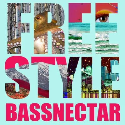 Bassnectar Freestyle