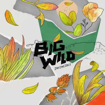 Big Wild Invincible EP