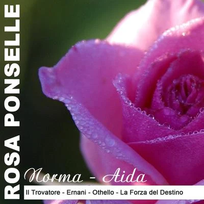 Philharmonic Orchestra/Rosa Ponselle/Rosario Bourdon Norma - Aida