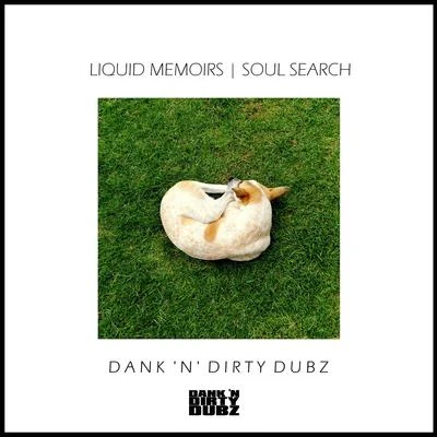 Liquid Memoirs/Khromi Soul Search