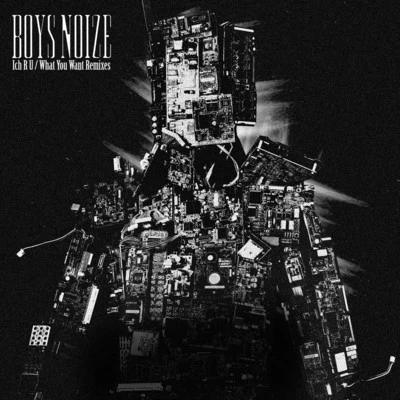 Boys Noize Ich R UWhat You Want (Remixes)