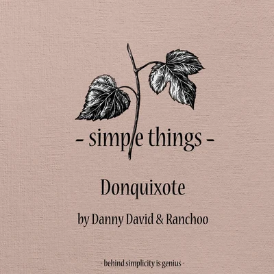 Danny David Donquixote