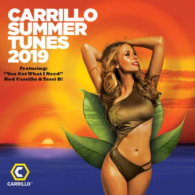 Terri B!/Rod Carrillo You Got What I Need (David Serrano & Oskar Konne Radio Mix)