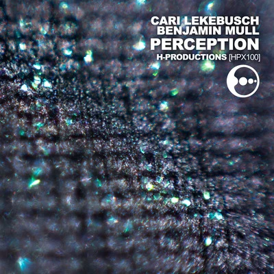 Benjamin Mull/Cari Lekebusch Perception