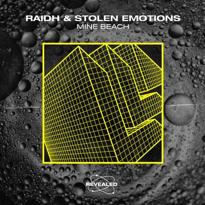 Stolen Emotions/Revealed Recordings/RAIDH Mine Beach