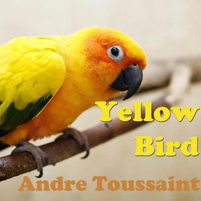 Andre Toussaint Yellow Bird