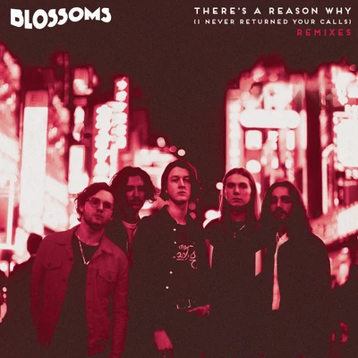 Blossoms Theres A Reason Why (I Never Returned Your Calls) (Remixes)