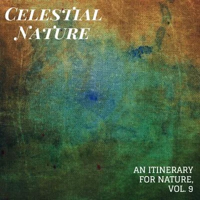 Nature Sounds/Rain Sounds For Sleep/White Noise Meditation Celestial Nature - An Itinerary for Nature, Vol. 9