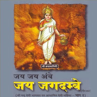 Narendra Chanchal Jai Jai Ambe Jai Jagdambe, Vol. 2