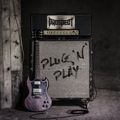 Prospect Plugnplay