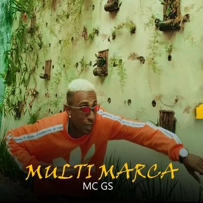 Mc GS Multi Marca