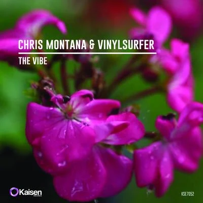 Chris Montana The Vibe