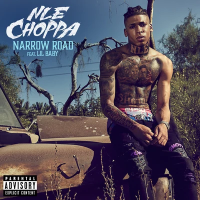 Lil Baby/NLE Choppa Narrow Road (feat. Lil Baby)