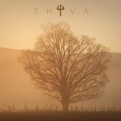 Shiva Seeds (Instrumentals)