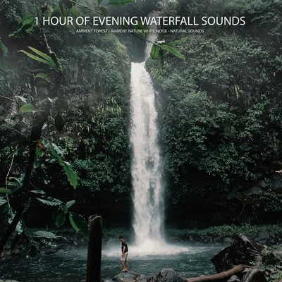 Ambient Nature White Noise/Ambient Forest/Natural Sounds 1 Hour of Evening Waterfall Sounds