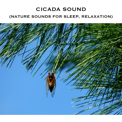 White Noise Radiance/Cicada Sound/Cicadas Sound Cicada Sound (Nature Sounds for Sleep, Relaxation)