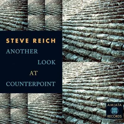 Steve Reich Another Look At the Counterpoint