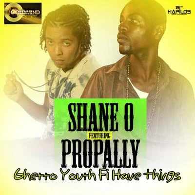 Propally/Shane O Ghetto Youth Fi Have Things - Single