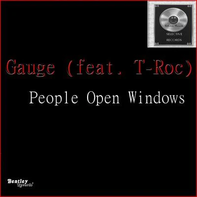 T-Roc/Gauge People Open Windows