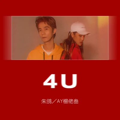 朱鴿/AY楊佬叁 4U