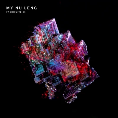 My Nu Leng FABRICLIVE 86: My Nu Leng