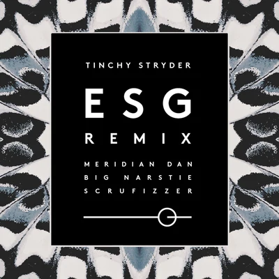 Tinchy Stryder/Meridian Dan/Big Narstie/Scrufizzer ESG (Remix)