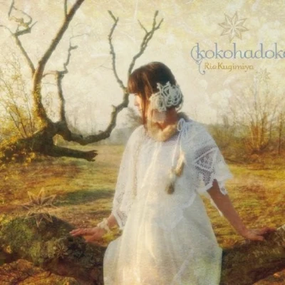 釘宮理恵 kokohadoko