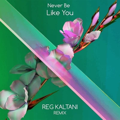 Reg Kaltani/Flume Never Be Like You (Remix)