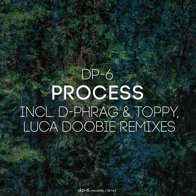 DP-6 Process