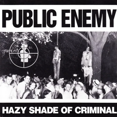 Public Enemy Hazy Shade of Criminal