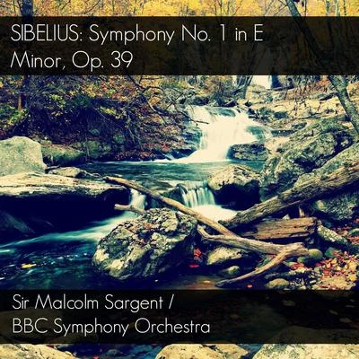 Jean Sibelius Sibelius: Symphony No. 1 in E Minor, Op. 39