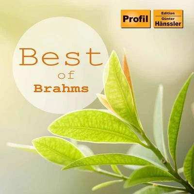 Annika Treutler/Arthur Rubinstein/Gunter Wand/Prague Festival Orchestra/Württembergisches Staatsorchester Stuttgart/Pavel Urbanek Best of Brahms