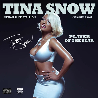 Megan Thee Stallion Tina Snow