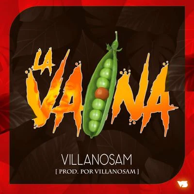 Villanosam La Vaina