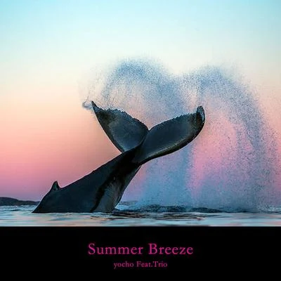 Trio Summer Breeze