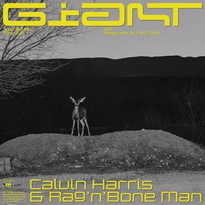 RagNBone Man/Calvin Harris Giant