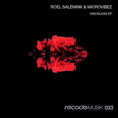 Roel Salemink/Microvibez Visionless