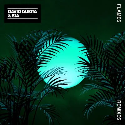 Sia/David Guetta Flames (Remixes)