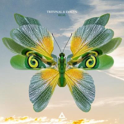 Tritonal/Evalyn Real